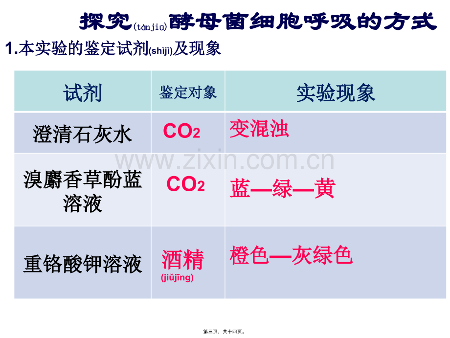 一轮复习细胞呼吸(实用简化版).ppt_第3页