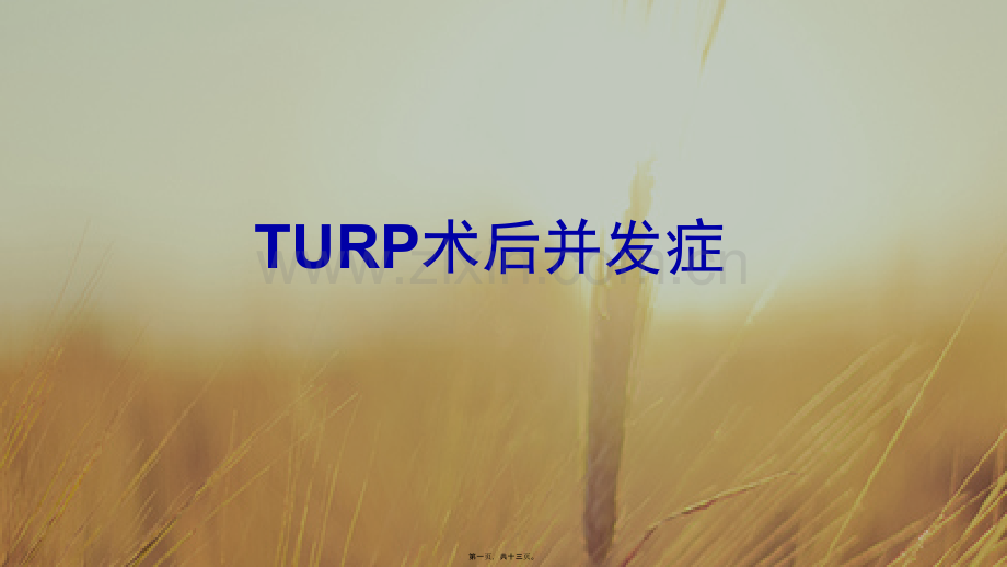 TURP术后并发症.pptx_第1页