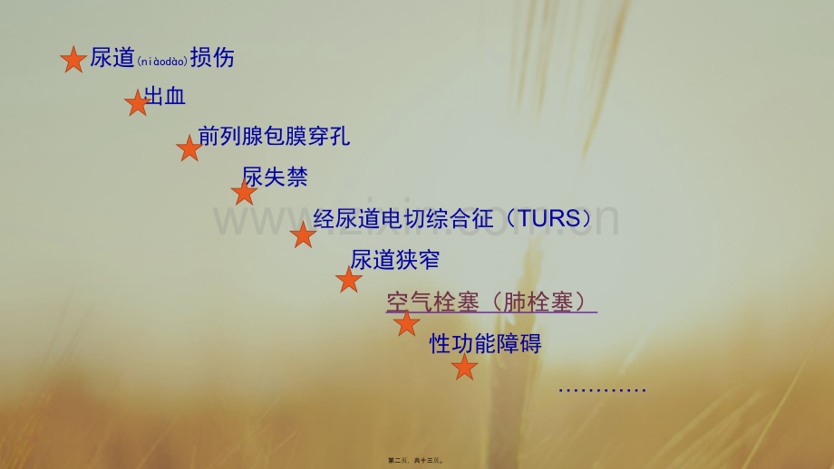 TURP术后并发症.pptx_第2页