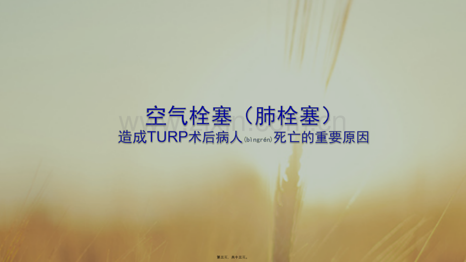 TURP术后并发症.pptx_第3页