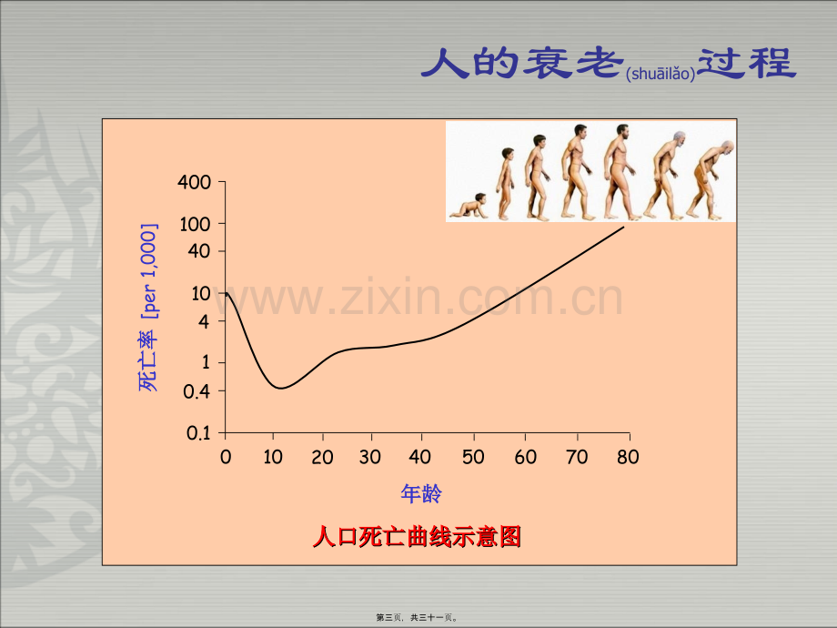 老年人的营养支持(雅培)ppt.ppt_第3页