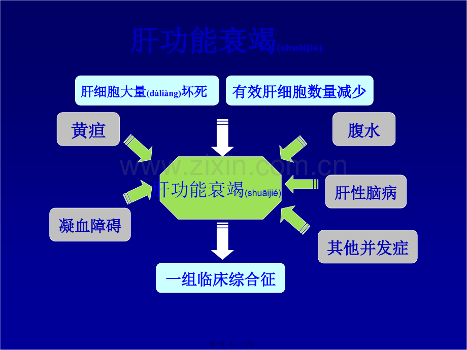 肝功能衰竭的现代处理.ppt_第2页