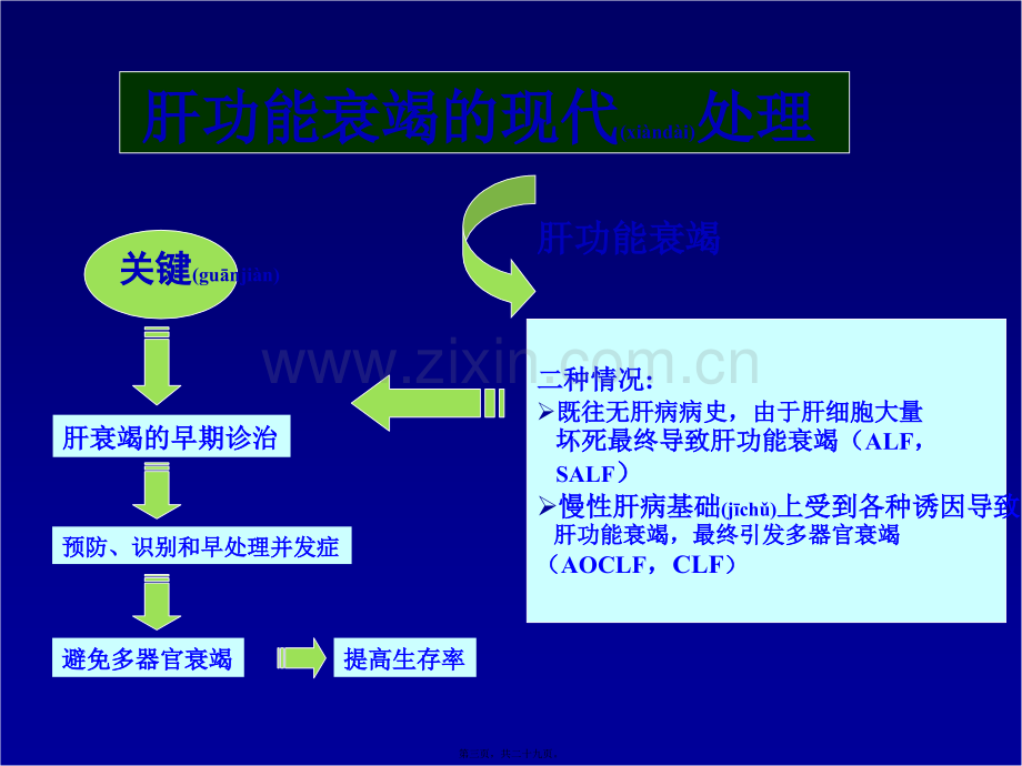 肝功能衰竭的现代处理.ppt_第3页