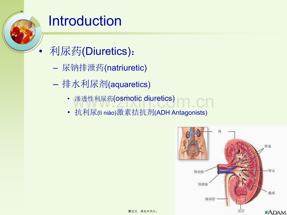 -利尿药.ppt_第3页