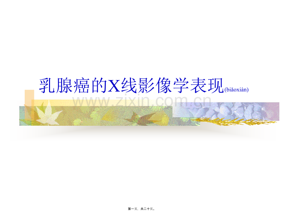 学术讨论—乳腺癌的X线影像学表现.ppt_第1页