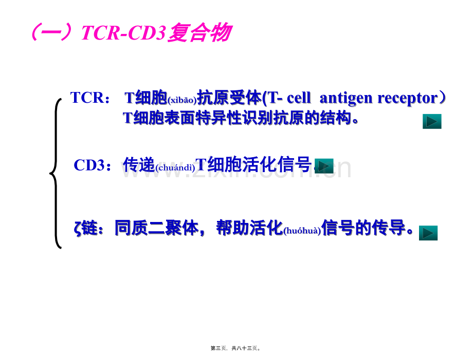 学术讨论—T淋巴细胞及其介导免疫应答.ppt_第3页