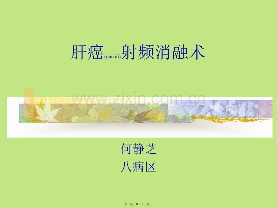 肝癌射频消融术1.ppt_第1页