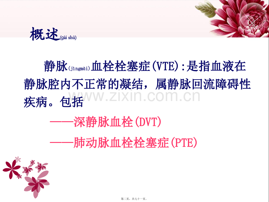 下肢静脉血栓.ppt_第2页