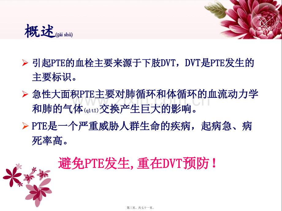 下肢静脉血栓.ppt_第3页