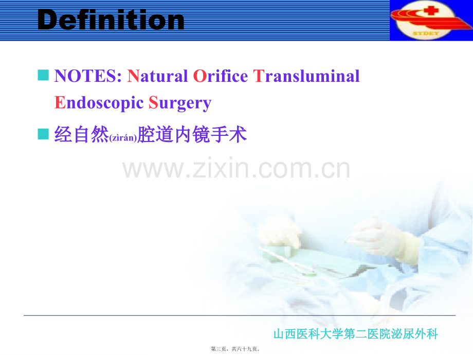 NOTES经自然腔道内镜手术.ppt_第3页