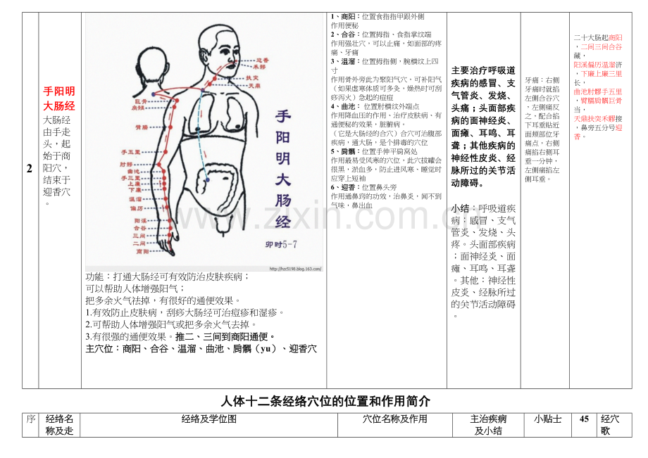 人体十二条经络奇经八脉.docx_第3页