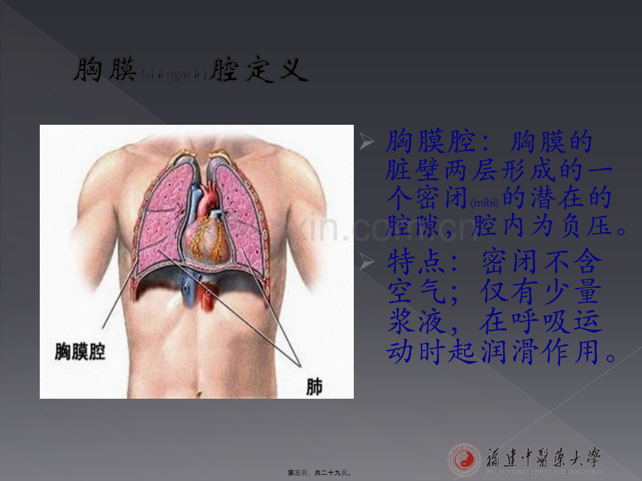 胸腹腔穿刺4.26资料.ppt_第3页