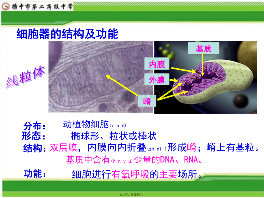 一轮复习2018年公开课细胞器系统的分工合作.ppt_第3页