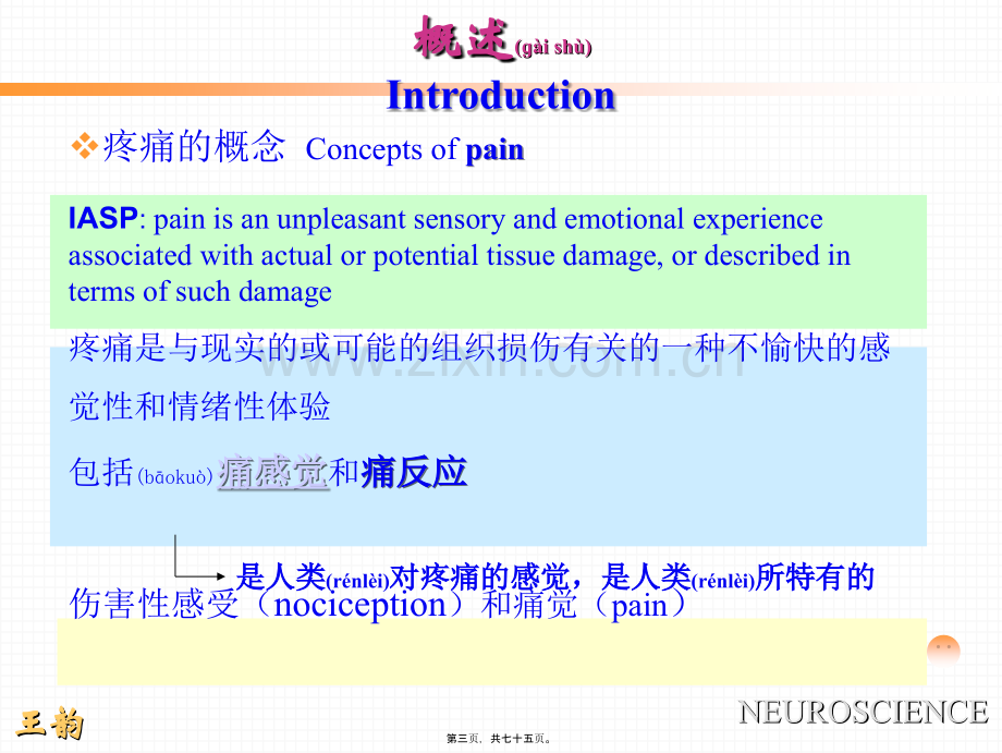 p2痛觉产生的基础理论知识.ppt_第3页