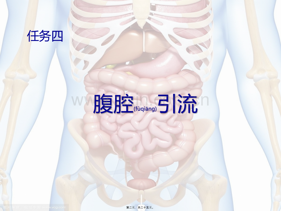 学术讨论—腹腔引流.pptx_第2页