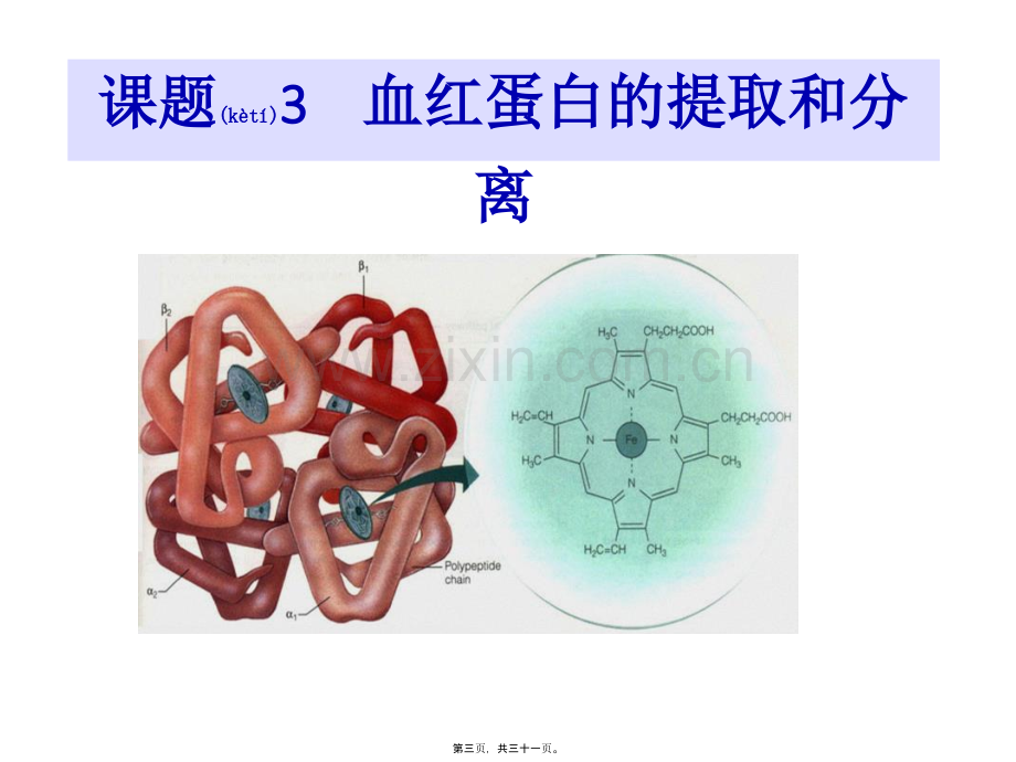 学术讨论—上课：课题3--血红蛋白的提取和分离.pptx_第3页