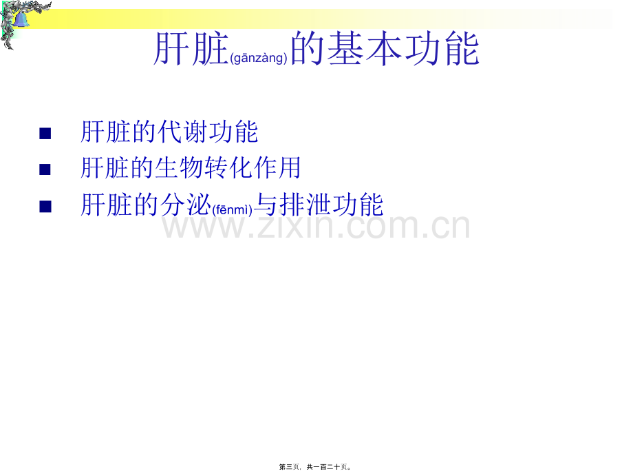 肝功能异常解读.ppt_第3页