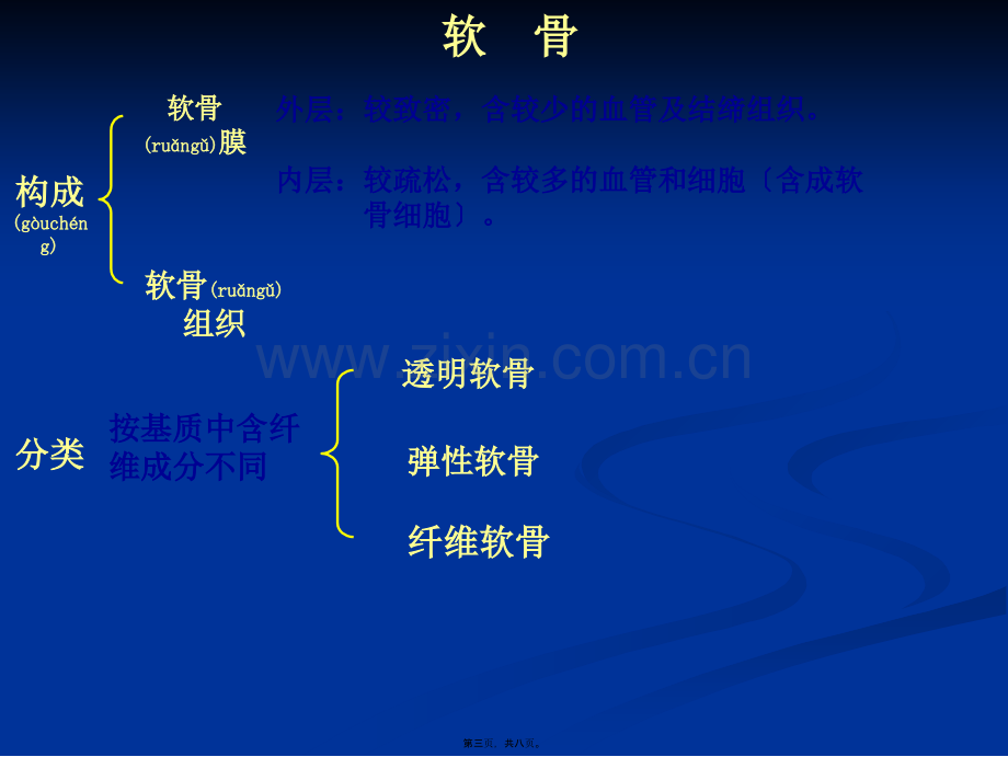 软骨组织和软骨.ppt_第3页