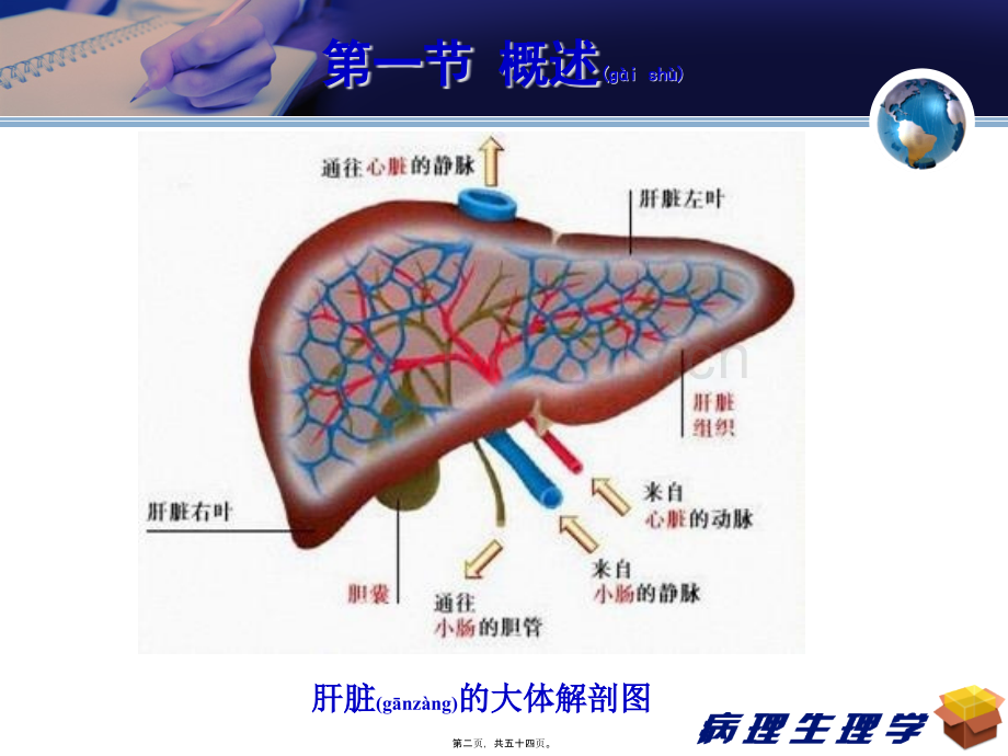 肝性脑病级药学李扬学时.ppt_第2页