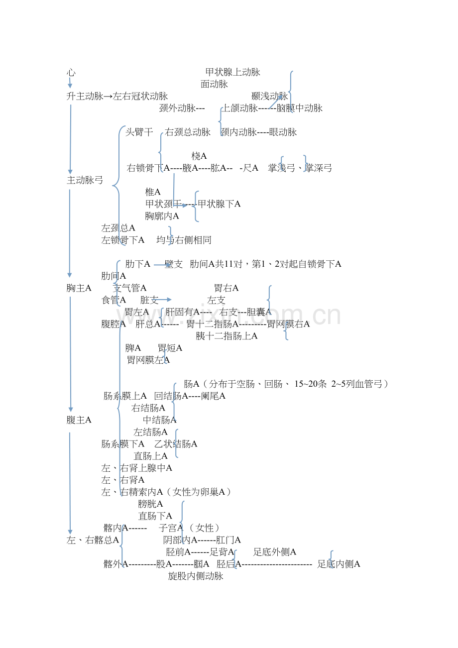 学术讨论—人体全身动脉图.docx_第1页