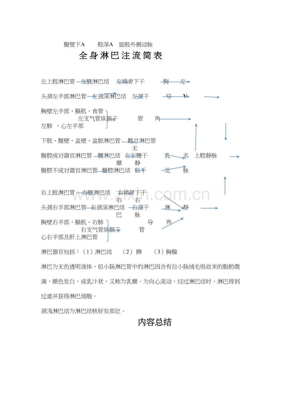 学术讨论—人体全身动脉图.docx_第2页