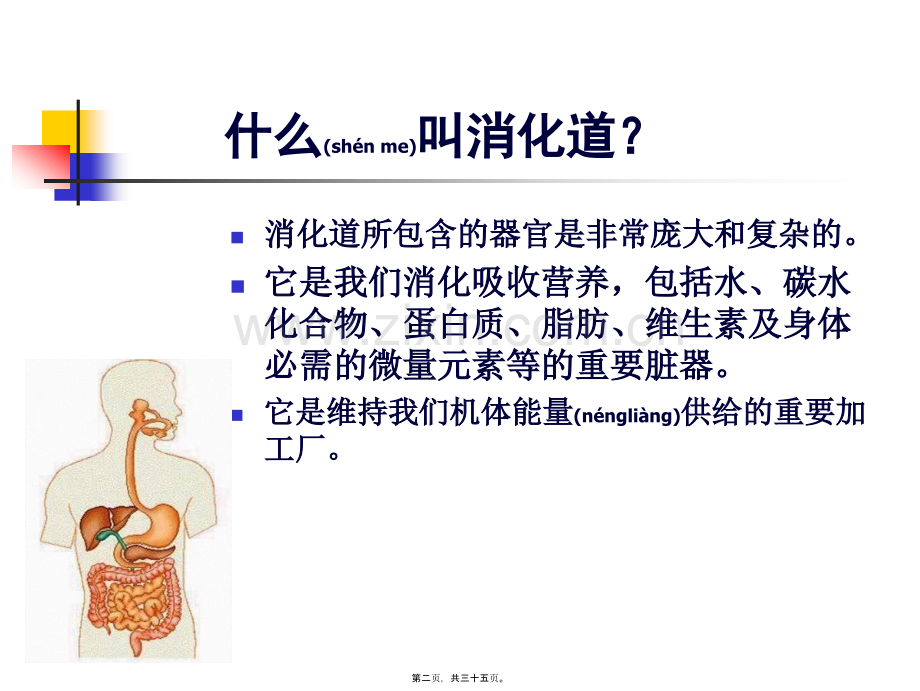 学术讨论—胃肠健康谁做主.ppt_第2页