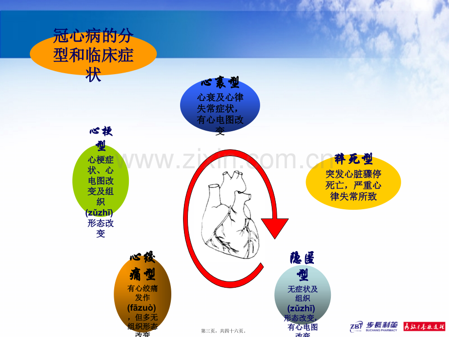 脑心通05号现代心脑血管防治新进展.ppt_第3页