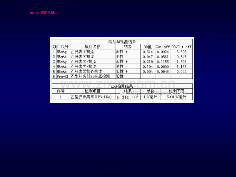 乙肝的基本知识.ppt_第3页