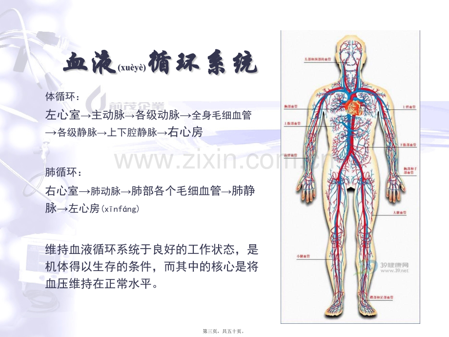 学术讨论—主动脉内球囊反搏泵.pptx_第3页