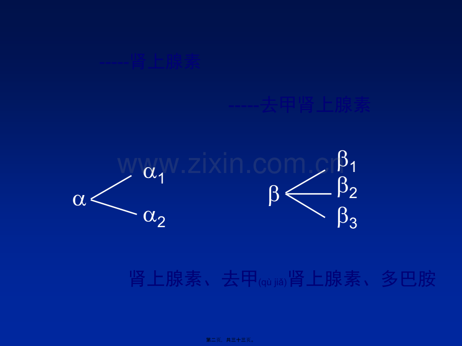 β受体阻滞剂在冠心病中的应用.ppt_第2页