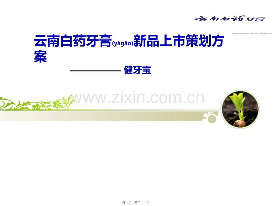 云南白药牙膏新品上市PPT.综述.ppt_第1页