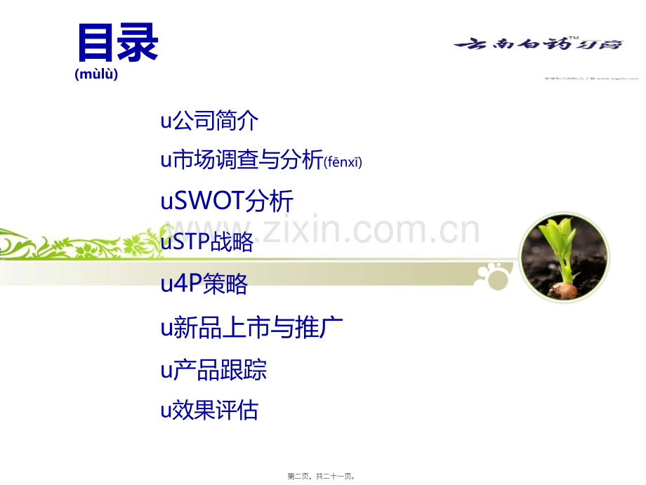 云南白药牙膏新品上市PPT.综述.ppt_第2页