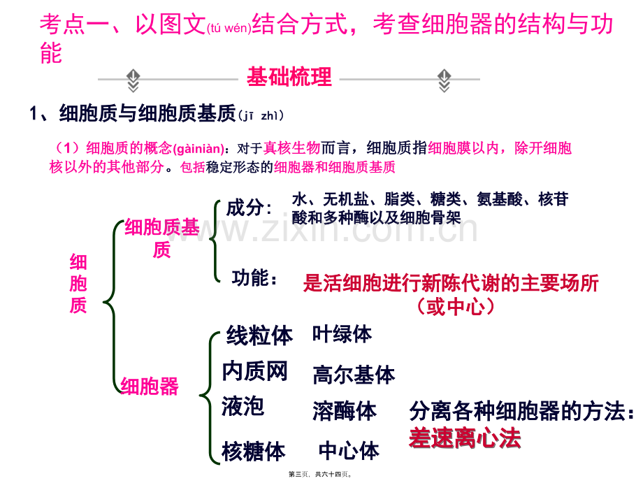 学术讨论—一轮复习细胞器.ppt_第3页