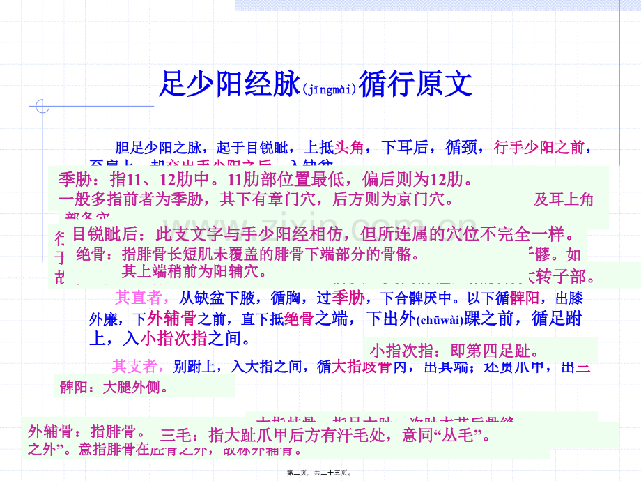 人体经络穴位图谱11胆经.ppt_第2页