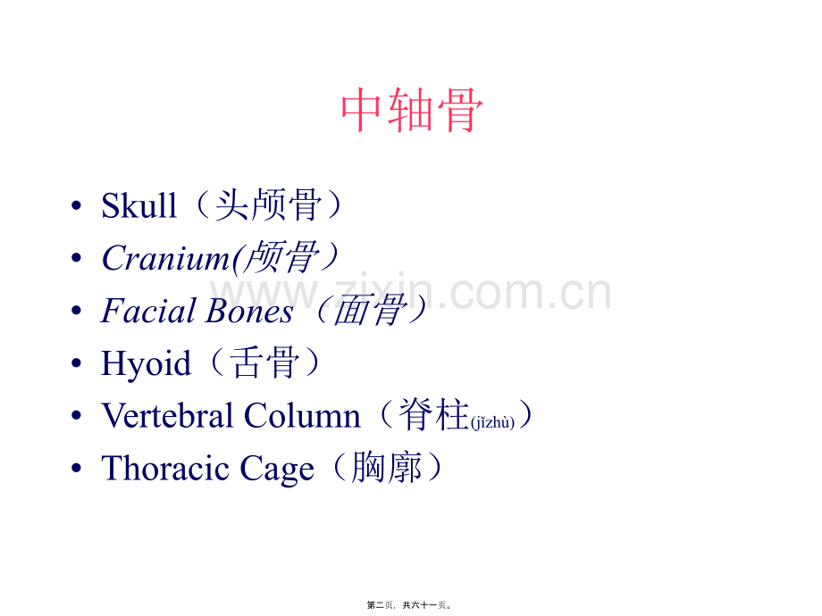 人体骨骼系统.ppt_第2页