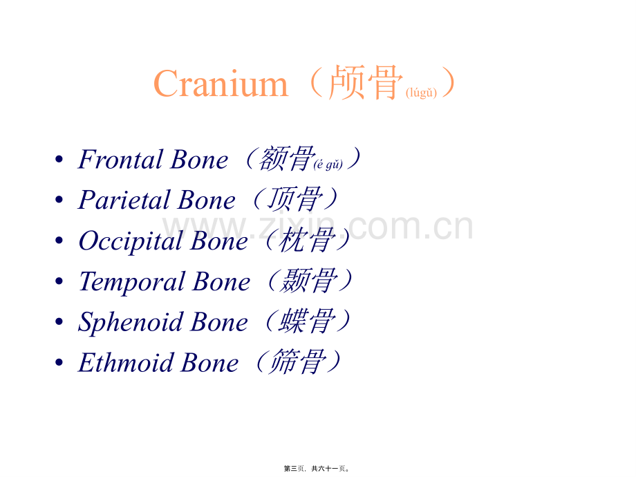 人体骨骼系统.ppt_第3页