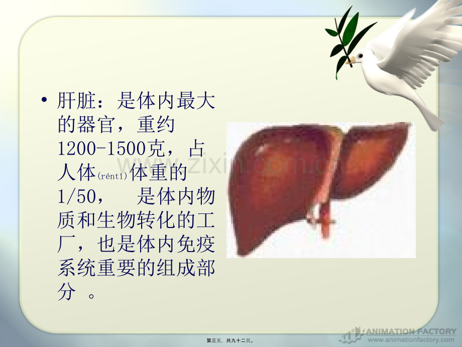 肝硬化zhouyan.ppt_第3页