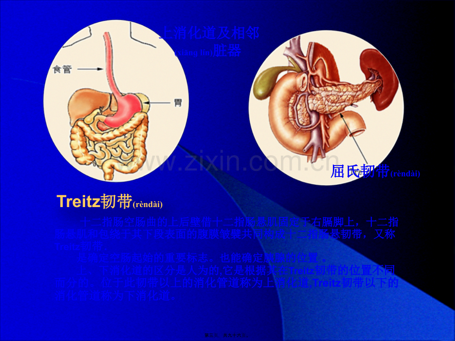 上消化道出血诊治进展000000.ppt-[自动保存的].ppt_第3页