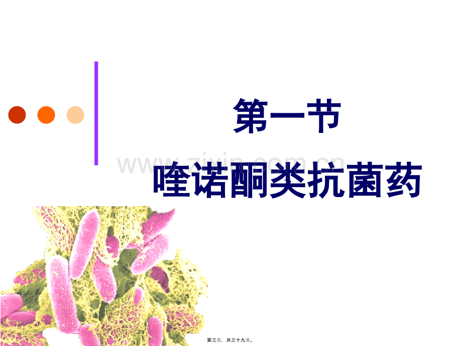 yl人工合成抗菌药.ppt_第3页