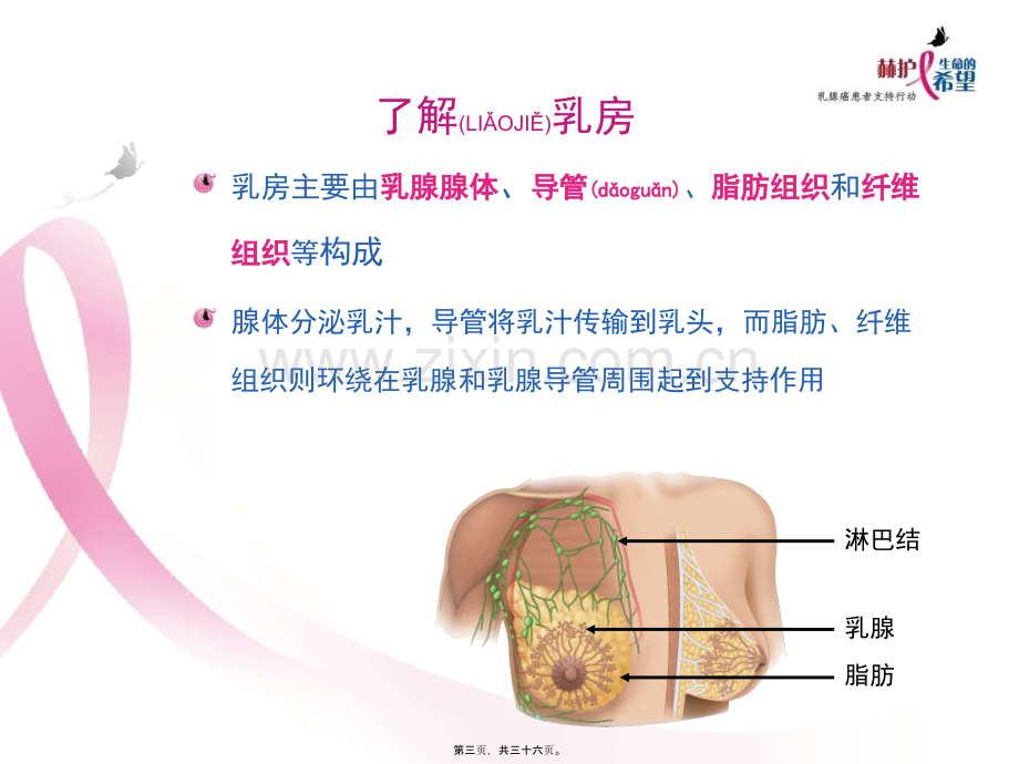 与乳腺癌的斗争开始了.pptx_第3页