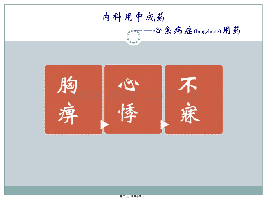 中成药合理应用-PPT文档资料.ppt_第2页