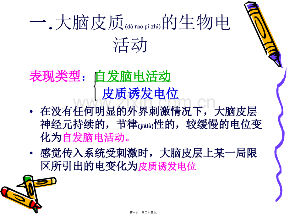 脑的高级机能.ppt_第1页