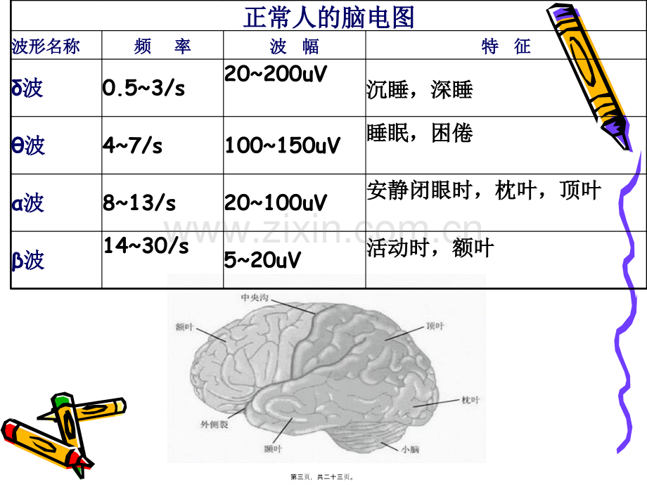 脑的高级机能.ppt_第3页