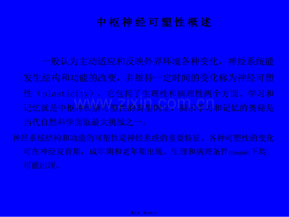 脑神经系统-中枢神经可塑性.ppt_第3页