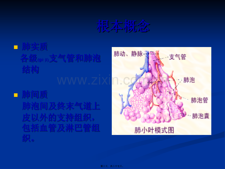 -特发性肺纤维化.ppt_第2页