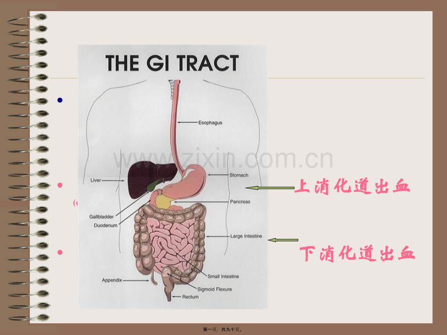 学术讨论—上消道大量出血-精选文档.ppt_第1页