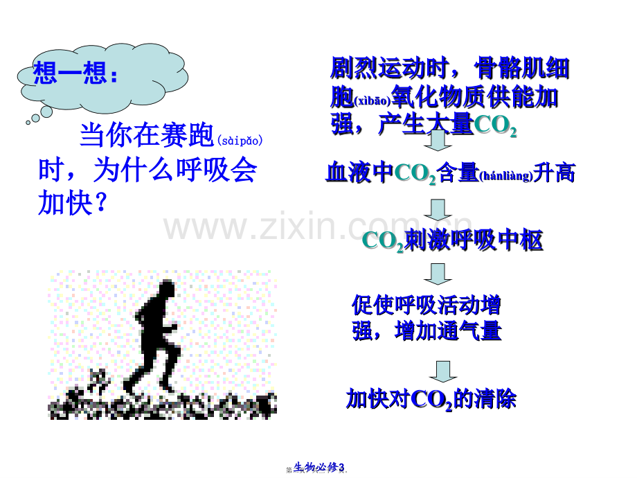 人体的激素调节ppt.ppt_第2页