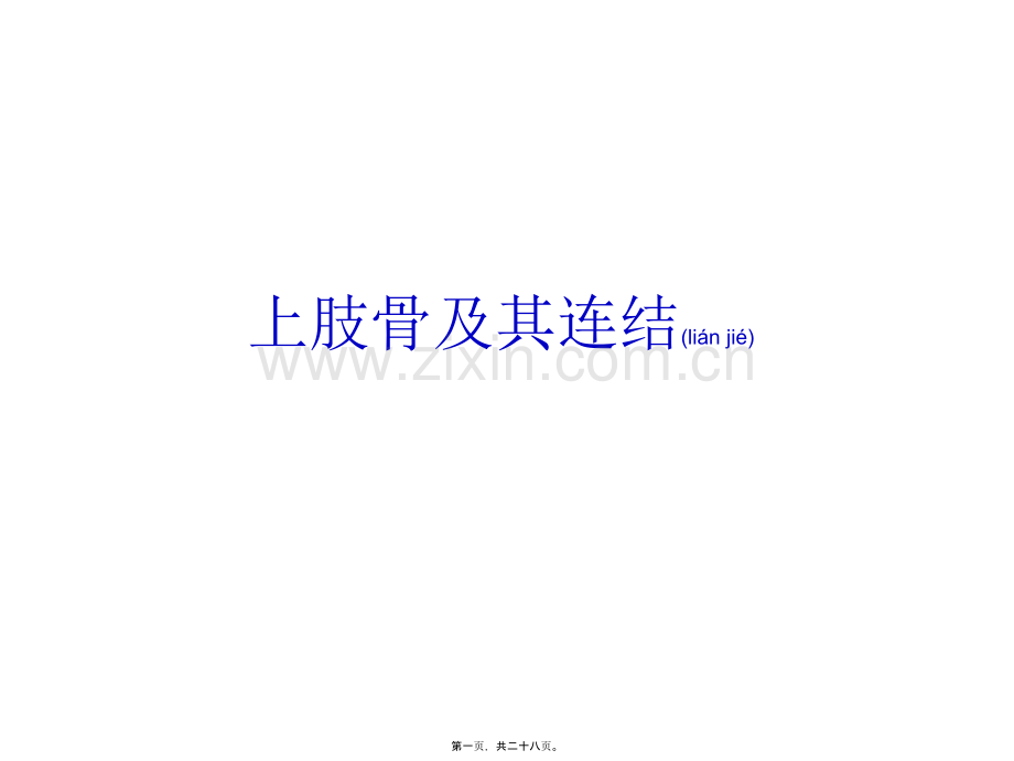 上肢骨与其连结.ppt_第1页