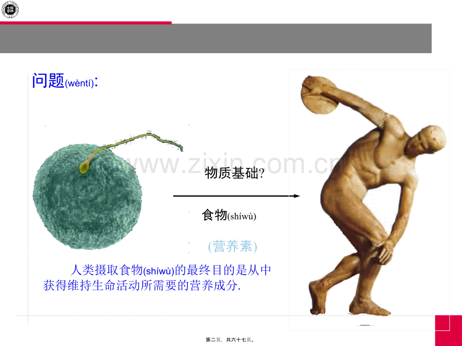 上课2(营养学基础).ppt_第2页