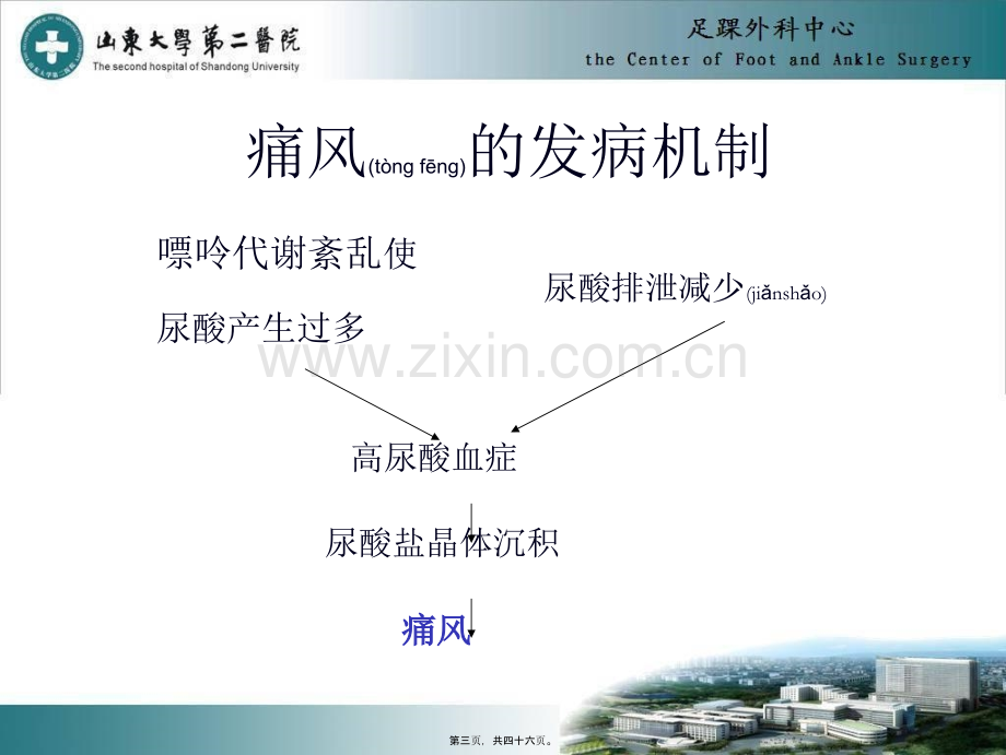 中国痛风诊疗指南.ppt_第3页